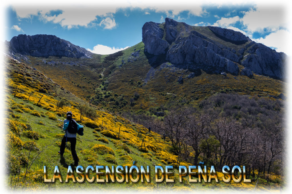 Ascensión a Peña Sol desde el Valle de Redondo - Club de Montaña Espigüete- PALENCIA